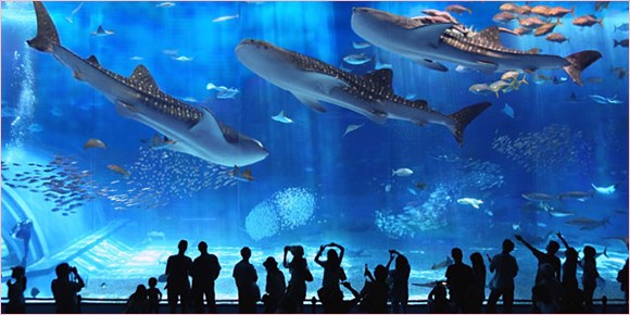 水族館